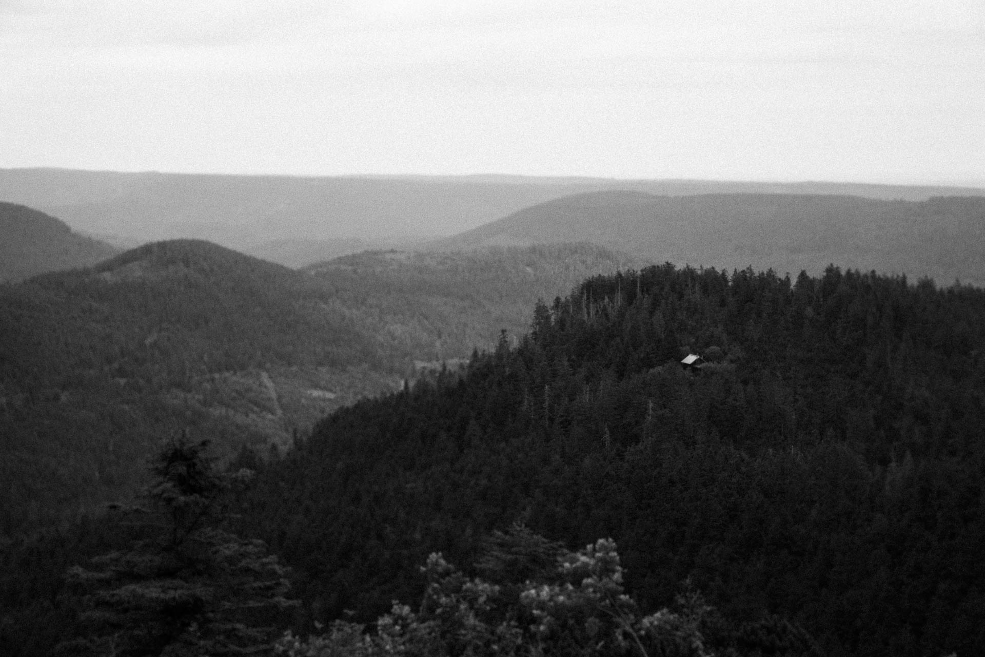 Braut und Bräutigam vor der Hochzeit im schönen Schwarzwald am Mummelsee fotografiert von Lisa & Andi Photography.